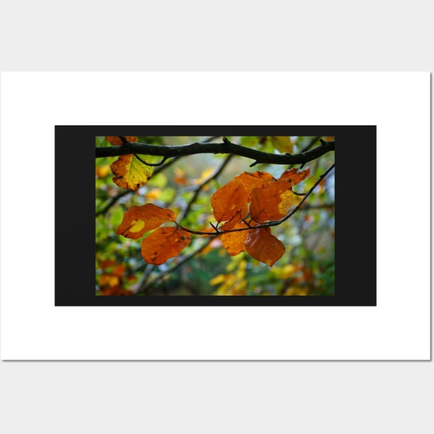 Colorful Autumn Leaves on Tree Branch Wall Art by Harmony-Mind